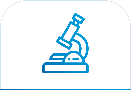 Studi Scientifici